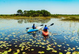 Fishing the St. Lucie River: A Local’s Guide