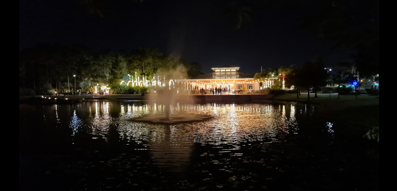 Festive lights at the botanical gardens